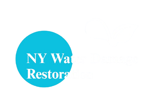 Blue water droplet logo with a house and New York skyline.